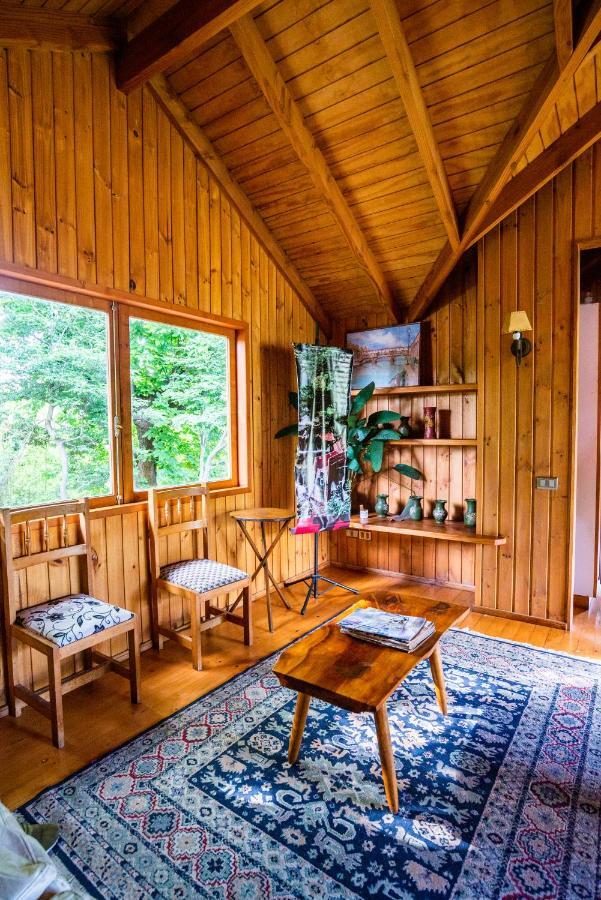 Hosteria Tricahue Пукон Екстер'єр фото